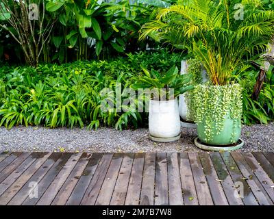 Big green ceramic pot with ivy plant and tropical palm tree near concrete pots with green leaves on gravel ground near greenery garden and wet wooden Stock Photo