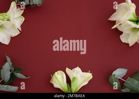 Lily flowers on a dark red background, flat lay, copy space. Stock Photo