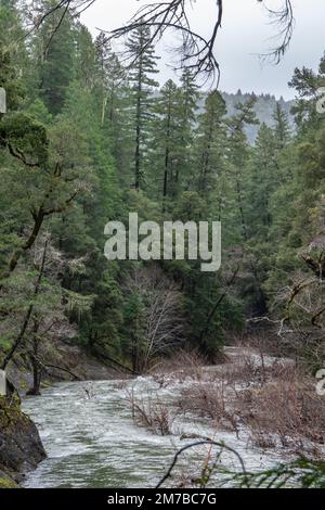 The South Fork of the Eel River in Mendocino county flows through forest and hills in the California wilderness. Stock Photo