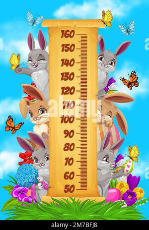 https://l450v.alamy.com/450v/2m7bfj8/kids-height-chart-easter-bunnies-and-egg-hunting-vector-growth-measure-kids-tall-measuring-or-baby-scale-ruler-with-cartoon-easter-eggs-and-cute-bunny-rabbits-spring-flowers-and-butterflies-2m7bfj8.jpg