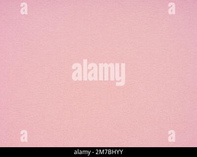Soft rose, or extra soft pink, matte paper background. Designer cardboard, carton page. Texture for making winter season Christmas festival card sheet Stock Photo