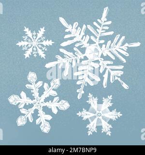 Winter snowflake illustration vector on blue background set Stock Vector