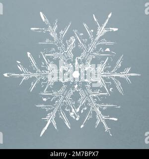 Realistic snowflakes element vector in blue background Stock Vector