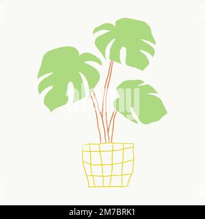 Green houseplant vector monstera hand drawn doodle Stock Vector
