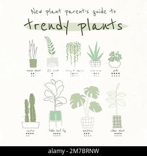 Trendy houseplant guide template vector for social media Stock Vector