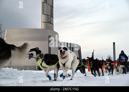 Some hundred meters after the Finmarslopet start line, a sled dog team begins the 1200 kilometer race while going by the northern lights cathedral. Stock Photo