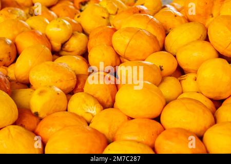 Goiania, Goiás, Brazil – January 08, 2023: Detail of pequis displayed for sale at the fair. Stock Photo