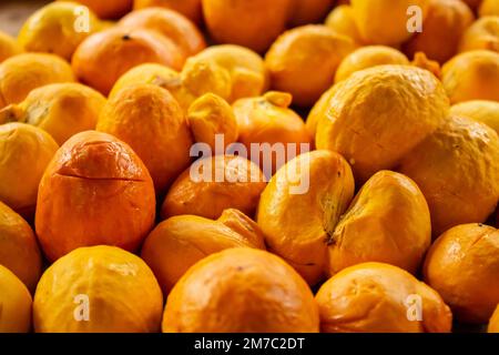 Goiania, Goiás, Brazil – January 08, 2023: Detail of pequis displayed for sale at the fair. Stock Photo