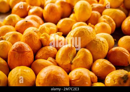 Goiania, Goiás, Brazil – January 08, 2023: Detail of pequis displayed for sale at the fair. Stock Photo