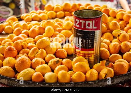 Goiania, Goiás, Brazil – January 08, 2023: Detail of pequis displayed for sale at the fair with a can used to measure the quantity of pieces. Stock Photo