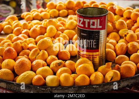 Goiania, Goiás, Brazil – January 08, 2023: Detail of pequis displayed for sale at the fair with a can used to measure the quantity of pieces. Stock Photo