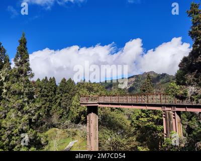 Beautiful morning with blue sky in Alishan National Park in Taiwan Stock Photo