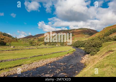 Autumn in Upper Swaledale Stock Photo