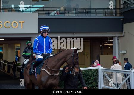 Ascot, Berkshire, UK. 22nd January, 2022. Horse Energumene ridden by jockey P Townend before racing in the SKB Clarence House Steeple Chase. Credit: Maureen McLean/Alamy Stock Photo