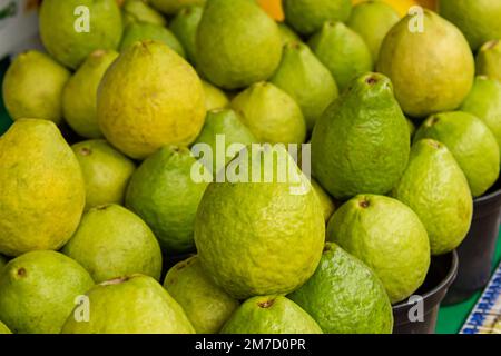 Goiania, Goiás, Brazil – January 08, 2023: A large cluster of guavas on display for sale at a fair. Stock Photo