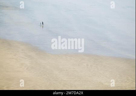 A tiny figure with shadow is silhouetted on the sand of a vast empty beach as the person walks their dog across the coastal stretch of open space. Stock Photo