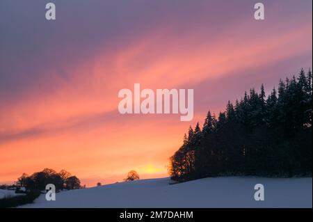 Snow covered landscape in the UK with a dramatic sunset as the suns falls below the horizon the sky burns a deep orange adn is offset by the deep blue of the trees in the foreground and the snow covered fields. Stock Photo