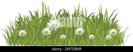 Wild spring trees and garden flowers isolated on white vector set.Illustration of spring, nature and summer flowers in the garden. Stock Vector