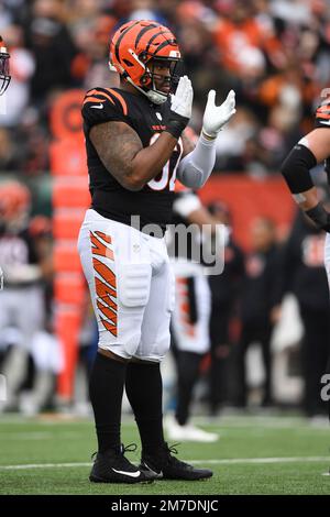 Cincinnati Bengals Defensive Tackle BJ Hill (92) Celebrates After A ...