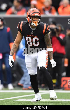 Cincinnati Bengals tight end Mitchell Wilcox (84) warms up before an NFL  football game against the Carolina Panthers, Sunday, Nov. 6, 2022, in  Cincinnati. (AP Photo/Emilee Chinn Stock Photo - Alamy