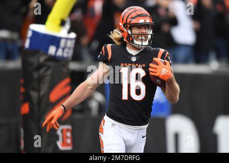 Cincinnati Bengals wide receiver Trenton Irwin (16) celebrates his  touchdown in the second half during an NFL football game against the  Cleveland Browns, Sunday, Dec. 11, 2022, in Cincinnati. (AP Photo/Emilee  Chinn