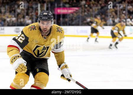 Golden Knights center Michael Amadio (22) wears a Pride Knight