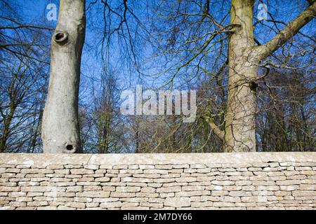 The Sculpture Trail / Walk at Sherborne, Gloucestershire around the Sherborne estate. Stock Photo