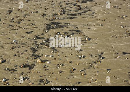 Abstract patterns of pebbles on a sandy beach at Littlehampton in West Sussex, England. Stock Photo
