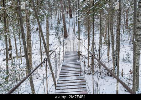 Beautiful rope hanging wooden bridge. winter landscape, snow-covered forest. Perspective, symmetry Stock Photo