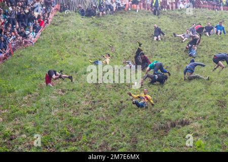 Gloucester, UK. The annual cheese rolling race held at Coopers Hill, Brockworth outside Gloucester. Competitors race down the extremly steep slippery hill chasing a double Gloucester cheese, the winner of each race recieves the cheese as thier prize. Stock Photo