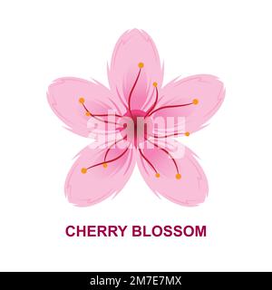Cherry Blossom Vector Illustration Stock Vector