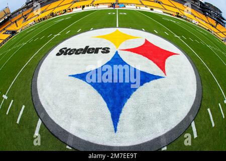 This is the Pittsburgh Steelers logo on the 50 yard line at