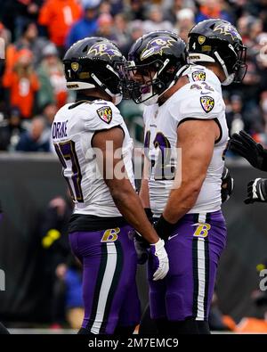 Cincinnati Bengals linebacker Germaine Pratt (57) plays during an NFL  football game against the Baltimore Ravens, Sunday, Jan. 8, 2023, in  Cincinnati. (AP Photo/Jeff Dean Stock Photo - Alamy