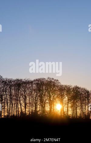 Sunset in autumn producing deep colour in the clouds as the sun dips below the horizon. Stock Photo