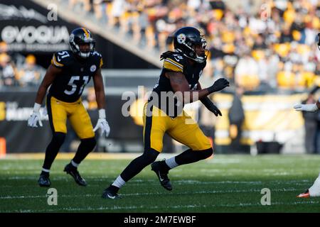 PITTSBURGH, PA - DECEMBER 11: Pittsburgh Steelers linebacker Jamir Jones  (48) smiles during the national football league game between the Baltimore  Ravens and the Pittsburgh Steelers on December 11, 2022 at Acrisure