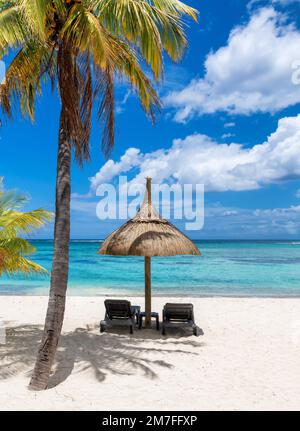 Palm trees on Paradise beach in tropical resort in Mauritius island. Stock Photo