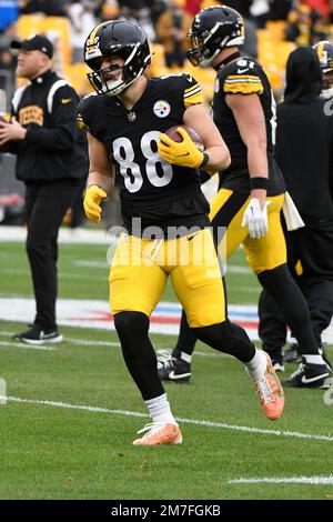 Pittsburgh Steelers tight end Zach Gentry (81) plays in an NFL football  game against the Tampa Bay Buccaneers, Friday, Aug. 9, 2019, in Pittsburgh.  (AP Photo/Don Wright Stock Photo - Alamy