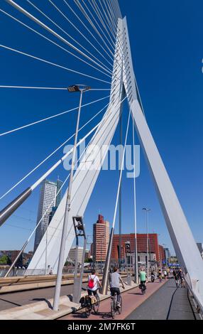 Holland, Rotterdam, View of the Erasmusbrug or Erasmus Bridge over the Nieuwe Maas River with cyclists and pedestrians in transit. Stock Photo