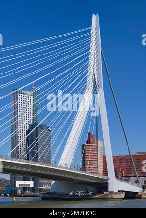 Holland, Rotterdam, View from underneath the Erasmusbrug or Erasmus Bridge over the Nieuwe Maas River with the Maastoren which is Holland's second highest building in the background. Stock Photo