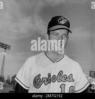 Baltimore Orioles pitcher Dave McNally from Billings, Montana. This picture  of the late McNally is possibly from 1972.