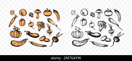 Vegetables doodle sketch set colored and black Stock Vector