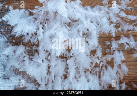 Beautiful ice crystals in the form of feathers and down during frosts on a wooden surface Stock Photo