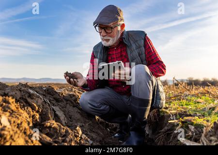 Mature farmer checking clod of earth in field in autumn time Stock Photo