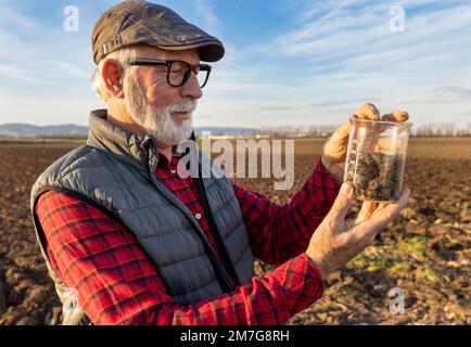 Mature farmer checking soil quality in field in autumn time Stock Photo