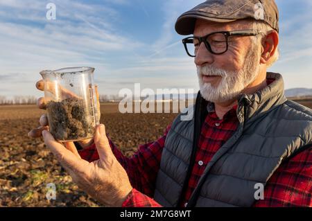 Mature farmer checking soil quality in field in autumn time Stock Photo