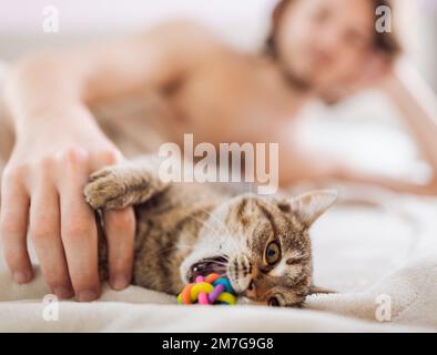 Close up of cute small cat playing with toy in owners hand on bed Stock Photo