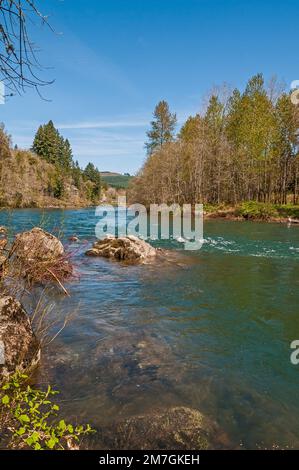Springfield Oregon Rivers Coast Fork Willamette River near Mt Pisgah Arboretum, at park near ...