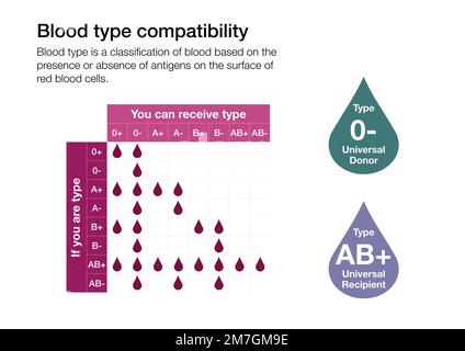 Chart explaining compatibility between the different blood types of humans Stock Photo