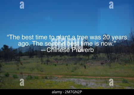 the best time to plant a tree was 20 years ago, the second best time is now  - Chinese proverb, handwriting in a spiral sketchbook against handmade pa  Stock Photo - Alamy