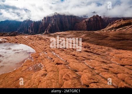 Life giving water pockets in the petrified sand dunes in Snow Canyon State Park, Utah, USA.  Rain and snow accumulate in these small basins. Stock Photo
